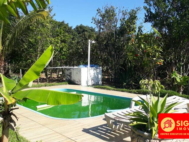 Sítio para Venda em São Pedro da Aldeia - 4