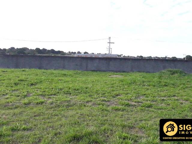 #3357 - Área para Venda em São Pedro da Aldeia - RJ - 3