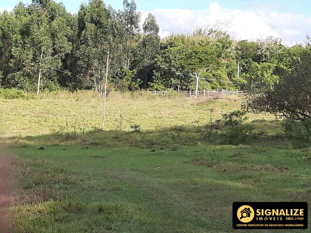 #3407 - Sítio para Venda em Cabo Frio - RJ - 3