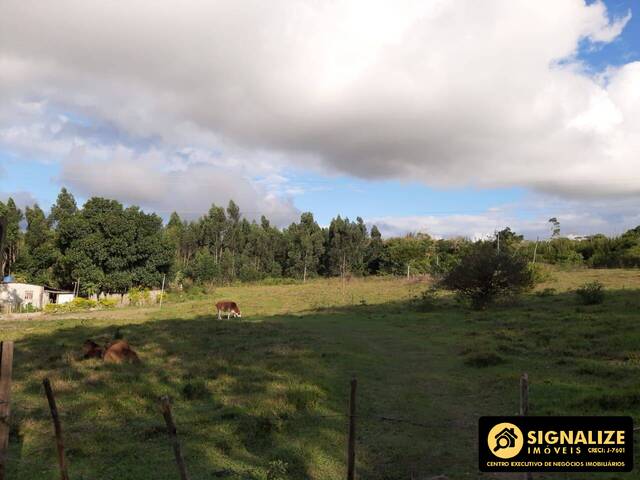 #3407 - Sítio para Venda em Cabo Frio - RJ - 2