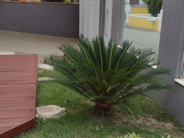 Casa em condomínio para Venda em Cabo Frio - 3